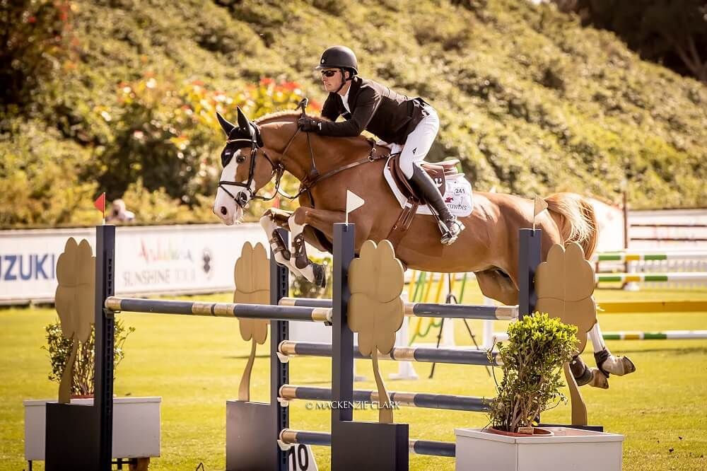 Reiter spring mit Pferd über Oxer