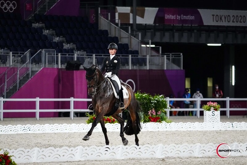 Dressurklassen Reiterin reitet Dressur auf dem Turnier