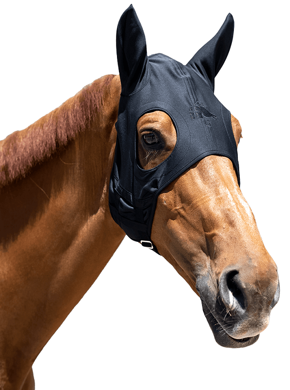 Pferd trägt eine Maske