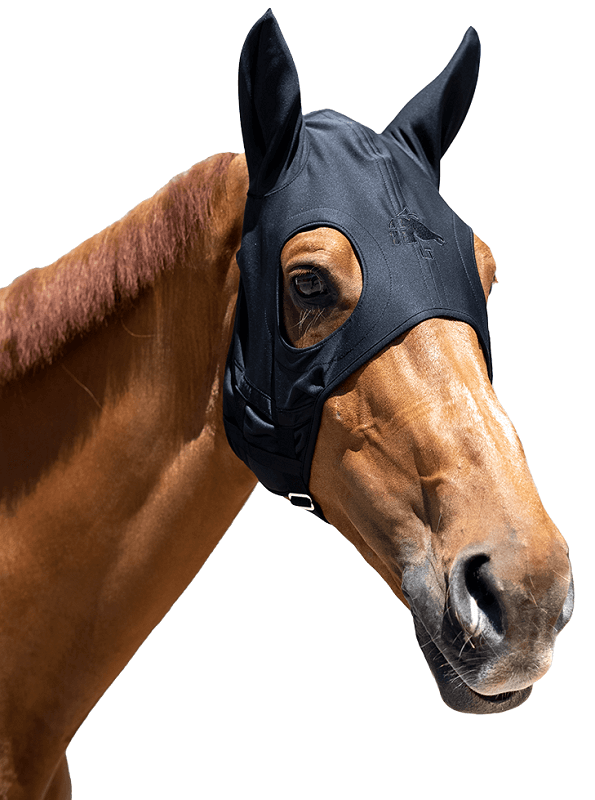 Fenwick Equestrian Maske mit Ohren Pferd trägt eine Maske