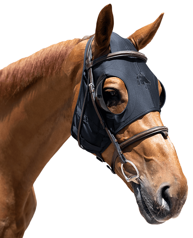 Fenwick Equestrian Maske mit Scheuklappen Pferd trägt eine Maske