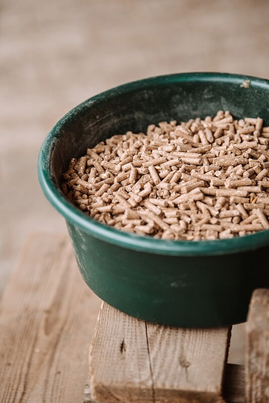 Futterberatung Pellets in Schale