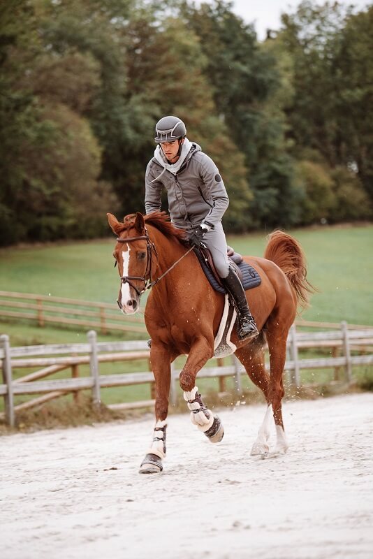 Reiter galoppiert mit Pferd