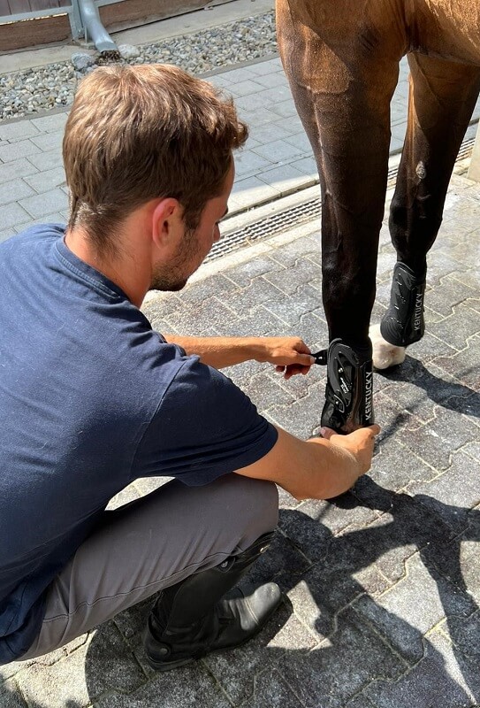 Kentucky Gamaschen Michael Viehweg Reiter macht Gamaschen an das Pferdebein