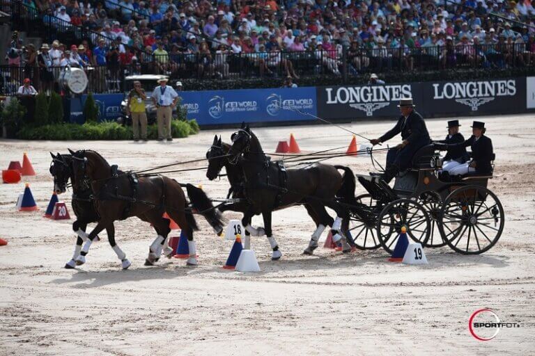 Einblicke in den Fahrsport FUNDIS Reitsport