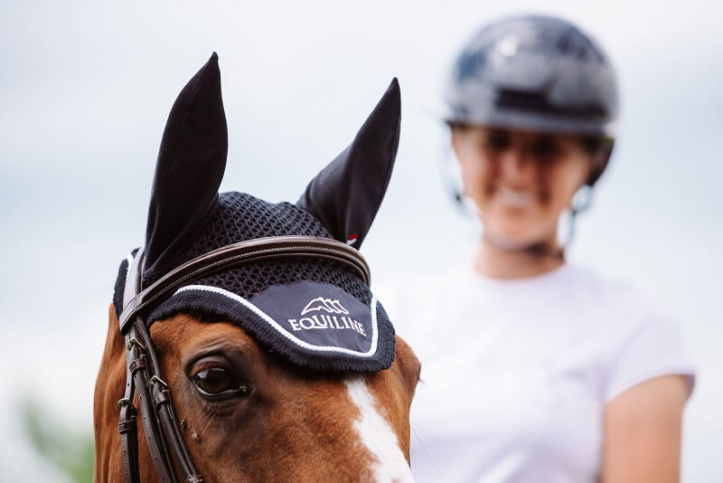 Fliegenhaube Pferd mit Fliegenhaube