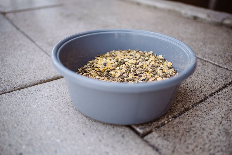 Futterschale Futterschale mit Müsli