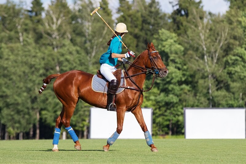 Polo-Ausrüstung Polo-Spielern sitzt auf dem Pferd