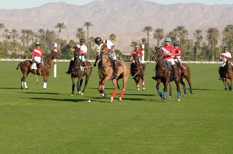 Polo-Spiel Polo-Spieler auf dem Feld