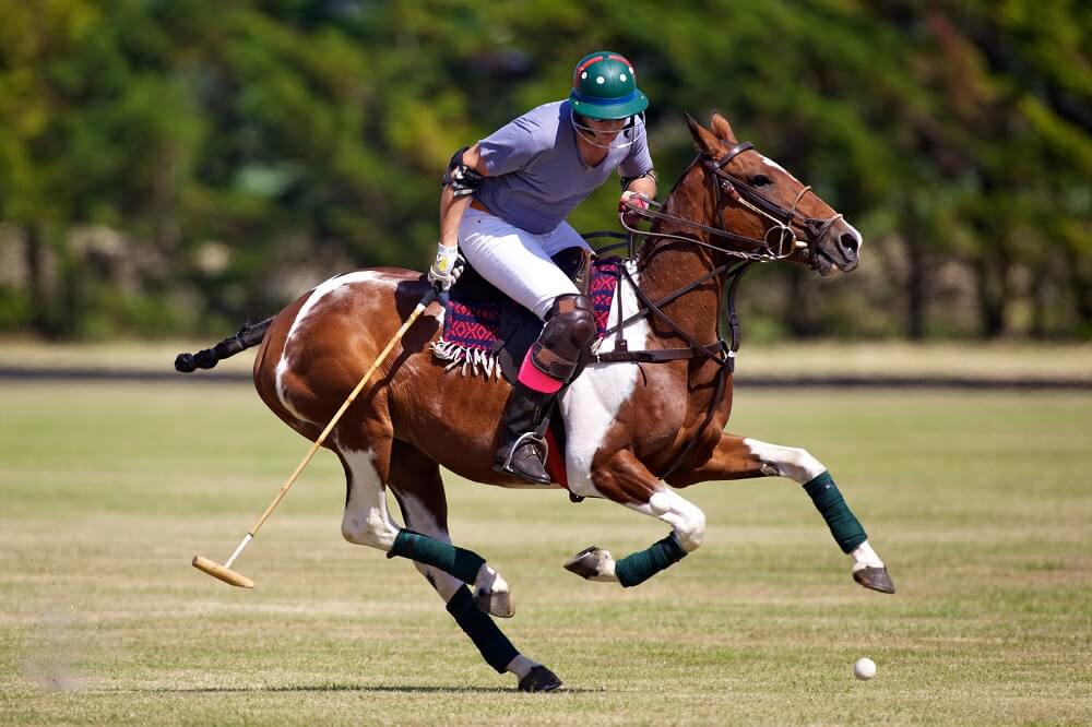 Polo-Spieler galoppiert zum Ball