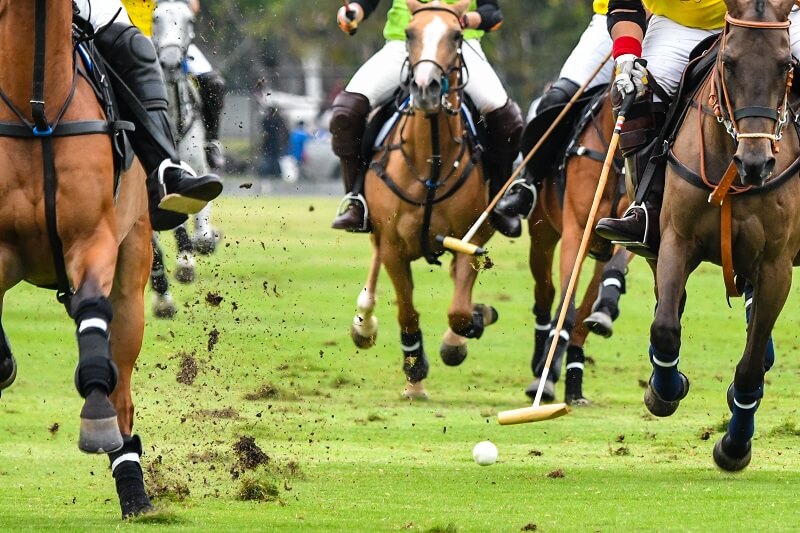 Galoppierende Pferde bei einem Polo-Spiel