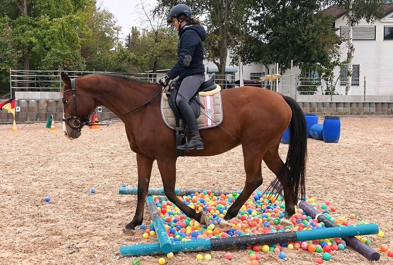 Gelassenheitstraining mit Pferd