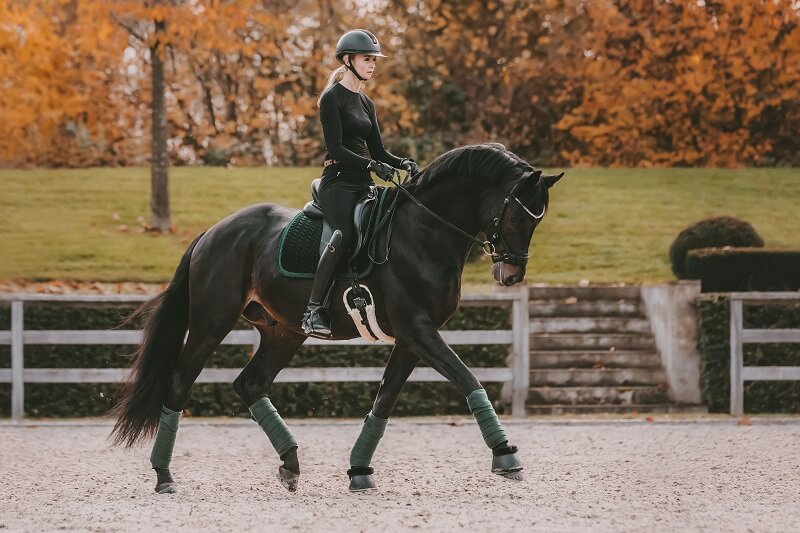 Reiterin reitet Pferd auf dem Reitplatz