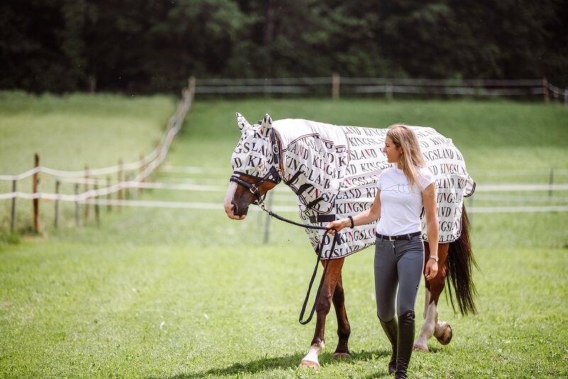 Reiterin führt Pferd mit Fliegendecke und -maske