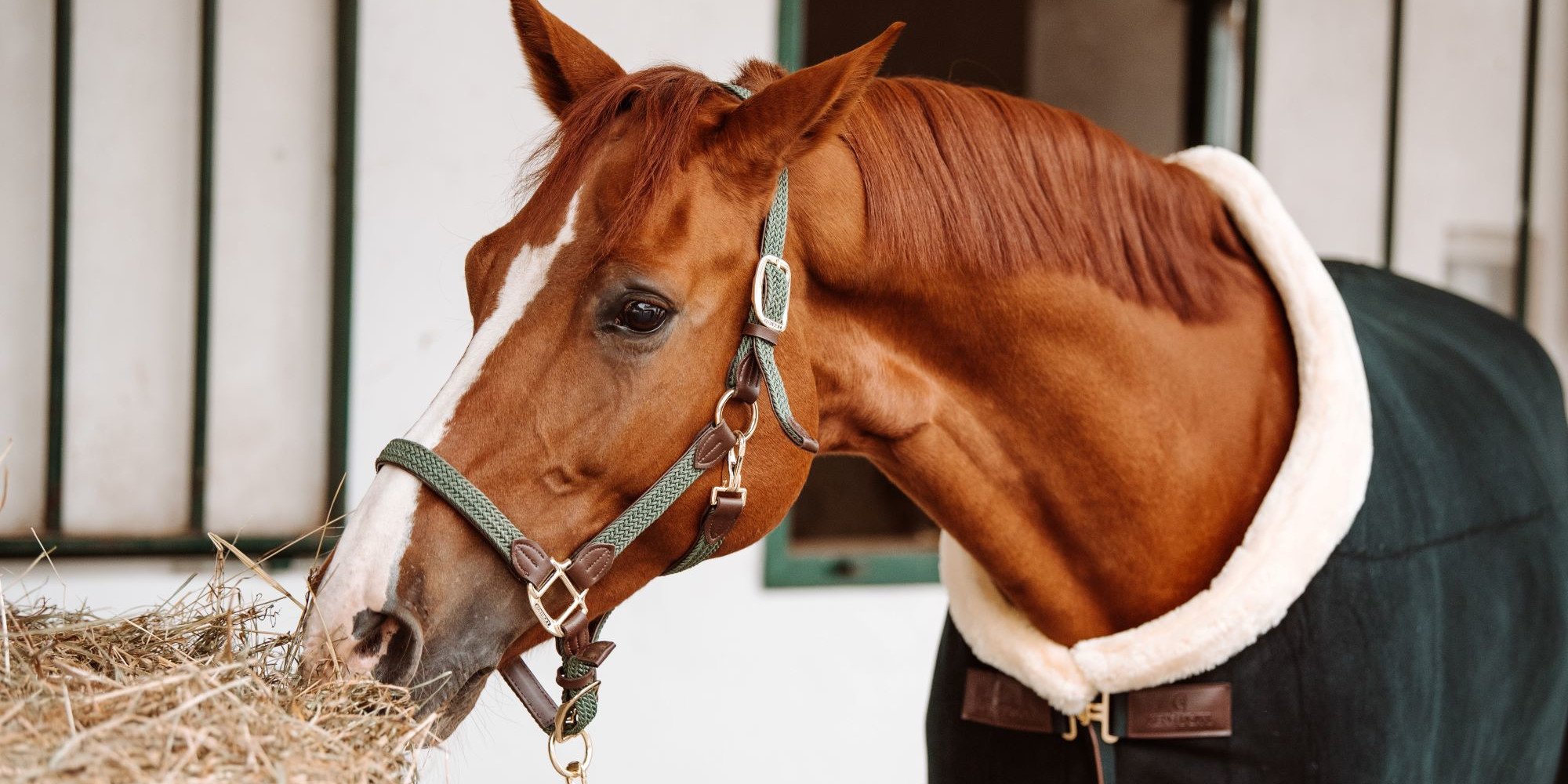Heu, Heulage oder Silage: Was ist das beste Pferdefutter?