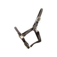 Kentucky Horsewear Halfter Plaited Nylon Kentucky Horsewear Halfter Plaited Nylon