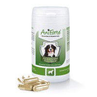 AniForte® Ergänzungsfutter ZeckenSchild Kapseln für Hunde AniForte® Ergänzungsfutter ZeckenSchild Kapseln für Hunde