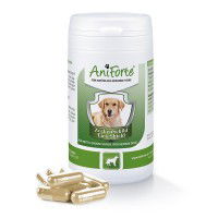 AniForte® Ergänzungsfutter ZeckenSchild Kapseln für Hunde AniForte® Ergänzungsfutter ZeckenSchild Kapseln für Hunde