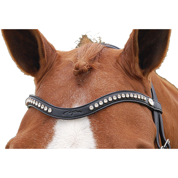 Dyon Dressur Stirnband Dy’on
