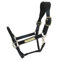 Kentucky Horsewear Halfter Anatomic Leather Halter, Lederhalfter Kentucky Horsewear Halfter Anatomic Leather Halter, Lederhalfter
