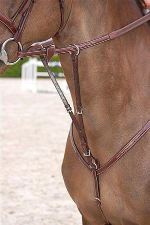 Dyon Martingalgabel Fancy Stitch HC