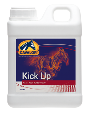 Cavalor "Kick Up"