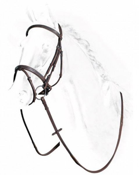 Equiline Kombinierte Trense Silber Clincher BJ117
