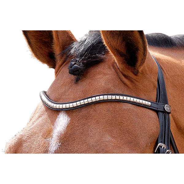 Dyon Dressur Stirnband Clincher Silber