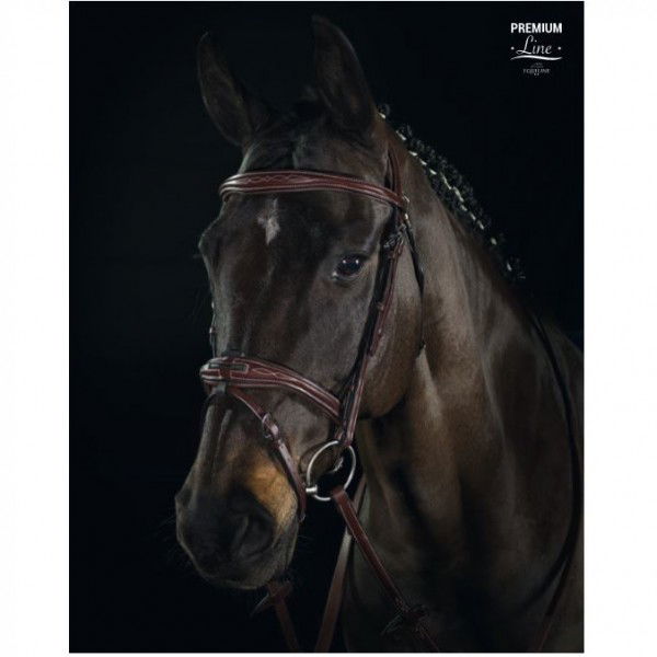 Equiline Trense Premium Line BS505, englisch kombiniert