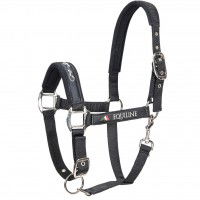 Equiline Halfter Timmy, Nylonhalfter Equiline Halfter Timmy, Nylonhalfter