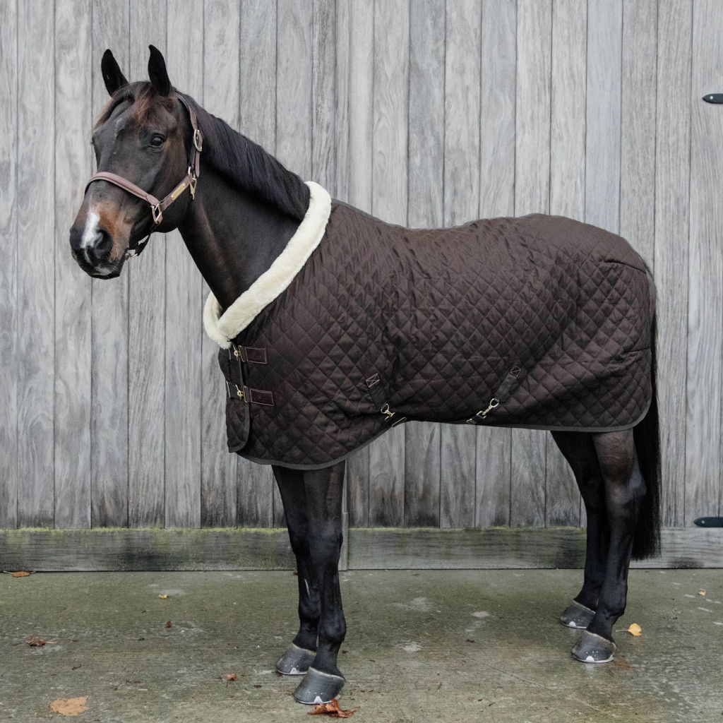 Kentucky Horsewear Show Rug Limited Edition FUNDIS Reitsport