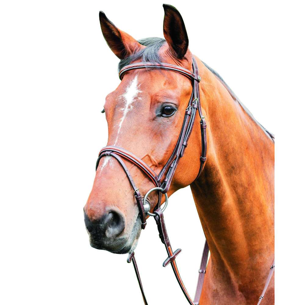 Prestige Italia Trense Englisch kombiniert E87 Fundis Reitsport