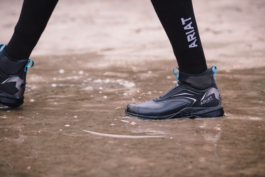 Bottes Paddock Femme Ariat Ascent H2O – Imperméables, Neuves