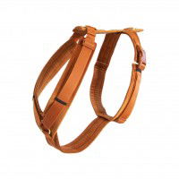 Kentucky Dogwear Hundegeschirr Active Velvet Kentucky Dogwear Hundegeschirr Active Velvet
