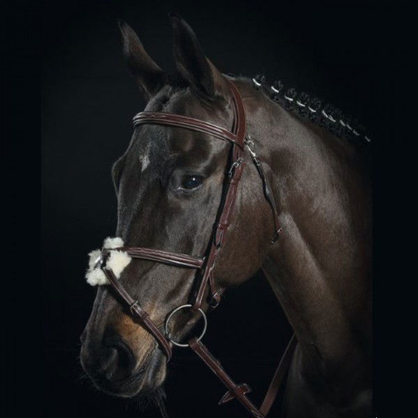 Equiline Mexikanische Trense Premium Line BS501