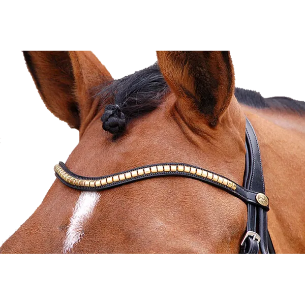 Dyon Dressur Stirnband Clincher Gold