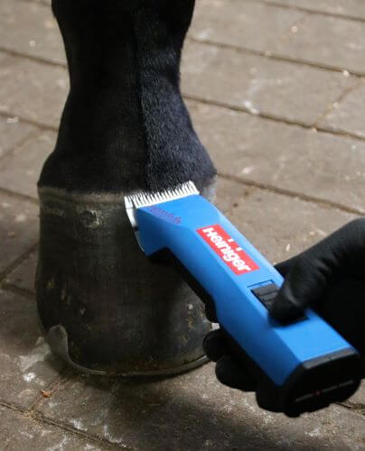 Pferde Scheren Jetzt Geht Es Dem Pferd An Den Winterpelz Fundis Reitsport