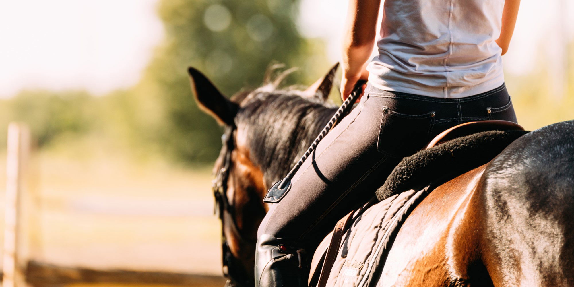 Alles Zu Ruckenprobleme Bei Pferden Fundis Reitsport