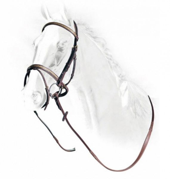 Equiline Kombinierte Trense Gold Clincher BJ116