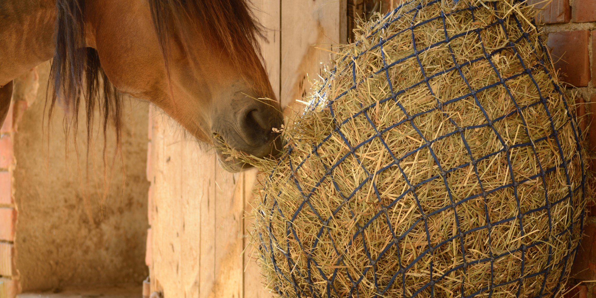 Die Vorteile von Heunetzen und Heuraufen für Pferde