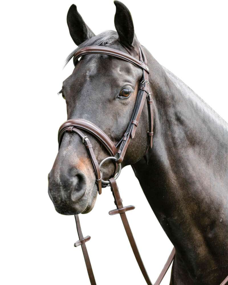 Prestige Italia Trense E38, englisch kombiniert Fundis Reitsport