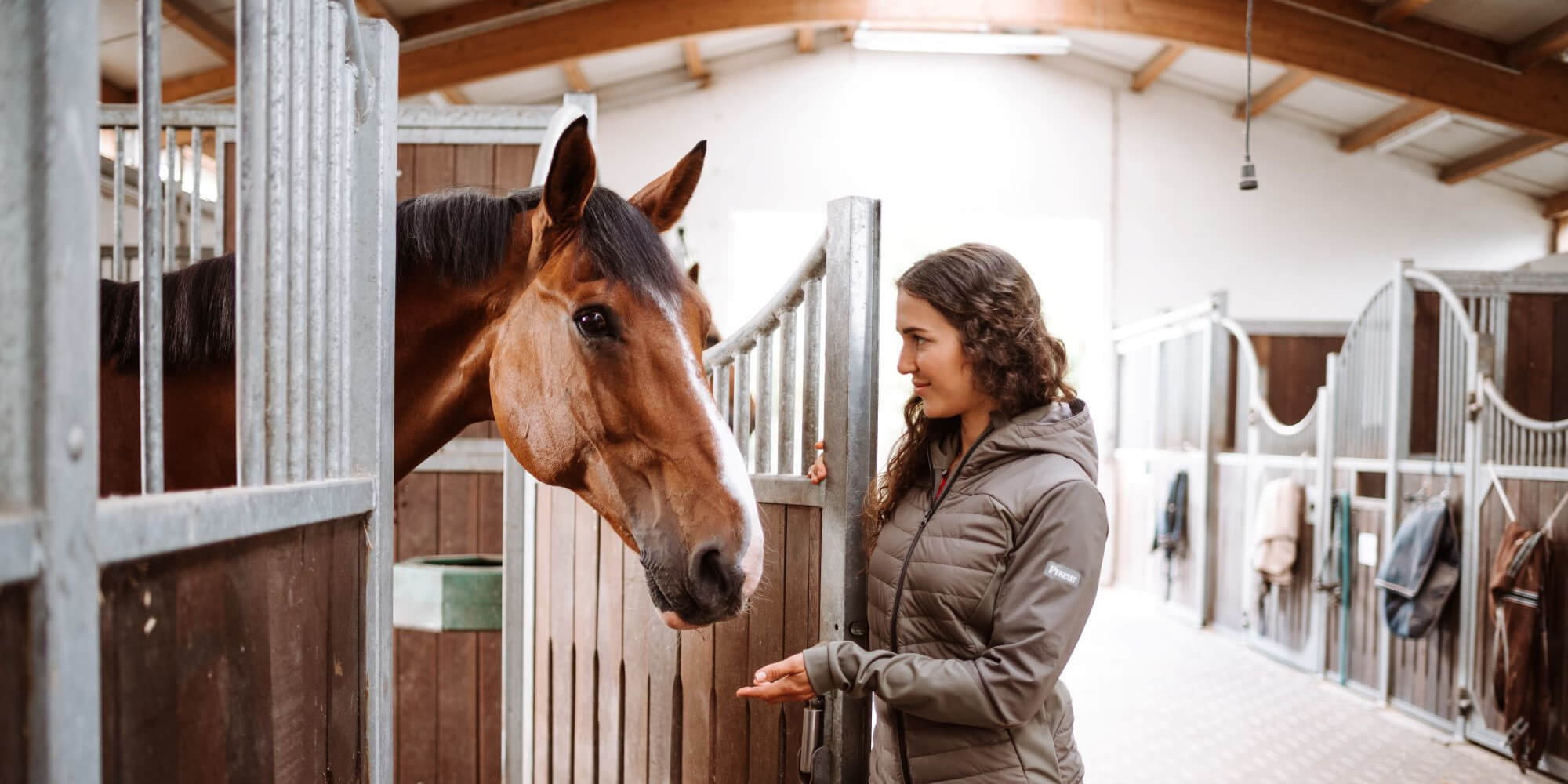Alte Pferde Fit Halten So Kannst Du Dein Senior Noch Lange Reiten Gesundheit Blog Fundis Reitsport