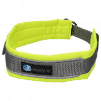 Annyx Hundehalsband Zug-Stopphalsband Fun & Protect Annyx Hundehalsband Zug-Stopphalsband Fun & Protect