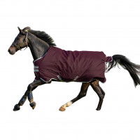 Horseware Outdoordecke Amigo Hero Ripstop, 50 g Horseware Outdoordecke Amigo Hero Ripstop, 50 g