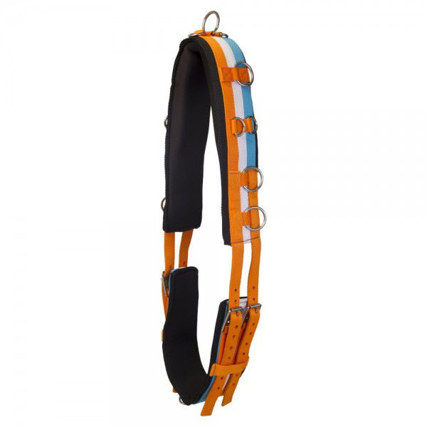 Imperial Riding Longiergurt Nylon Deluxe