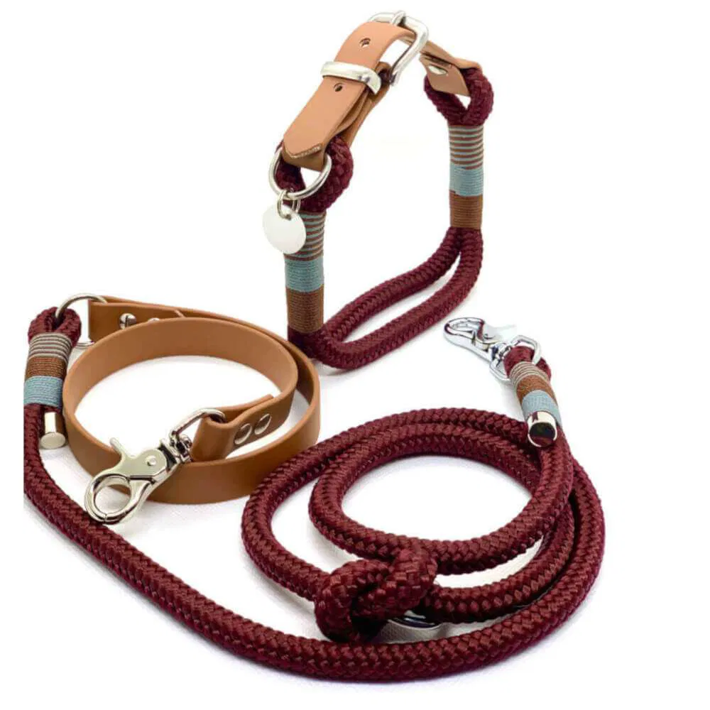 Herzog Hund Tau Halsband Fundis Reitsport